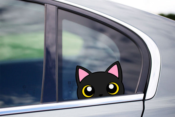 Black Cat #3 Peeking