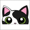 Black & White Cat Peeking