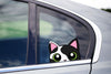Black & White Cat Peeking