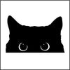 Black Cat Peeking
