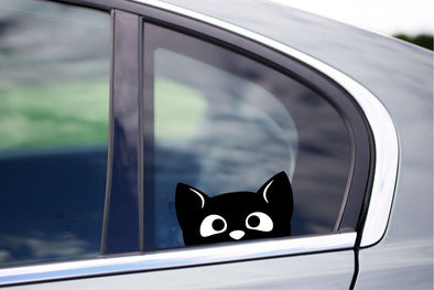 Black Cat #2 Peeking