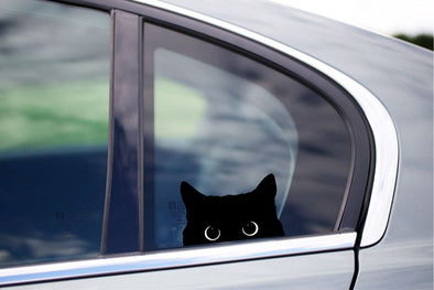 Black Cat Peeking