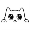 Cute Peekabo White Cat Peeking