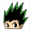 Gon Peeking