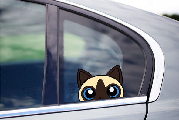 Siamese Cat Peeking