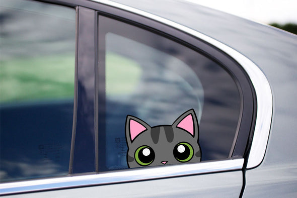 Tabby Cat Peeking