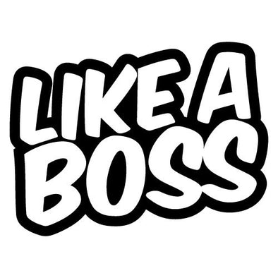 Like a Boss #2