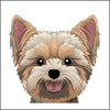 Cute Yorkie Peeking