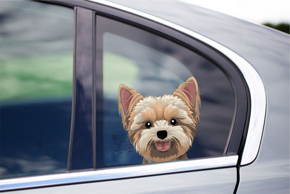 Cute Yorkie Peeking