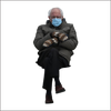 Bernie MEME