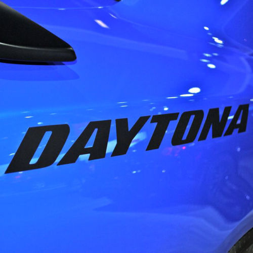 Daytona Logo Body Decal