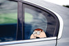 Peter Griffin Peeking