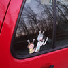 Rick and Morty Middle Finger