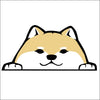 Shiba Inu Dog Peeking