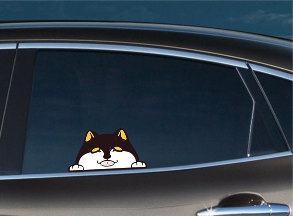 Shiba Inu Black Dog Peeking