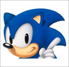 Sonic The Hedgehog Peeking