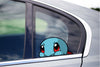 Cute Squirtle Peeking