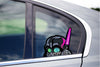 Darth Vader Peeking